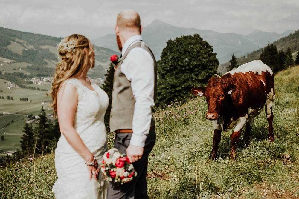 A cow approaches a bride and groom standing in a mountain meadow in Austria by Wild Connections Photography