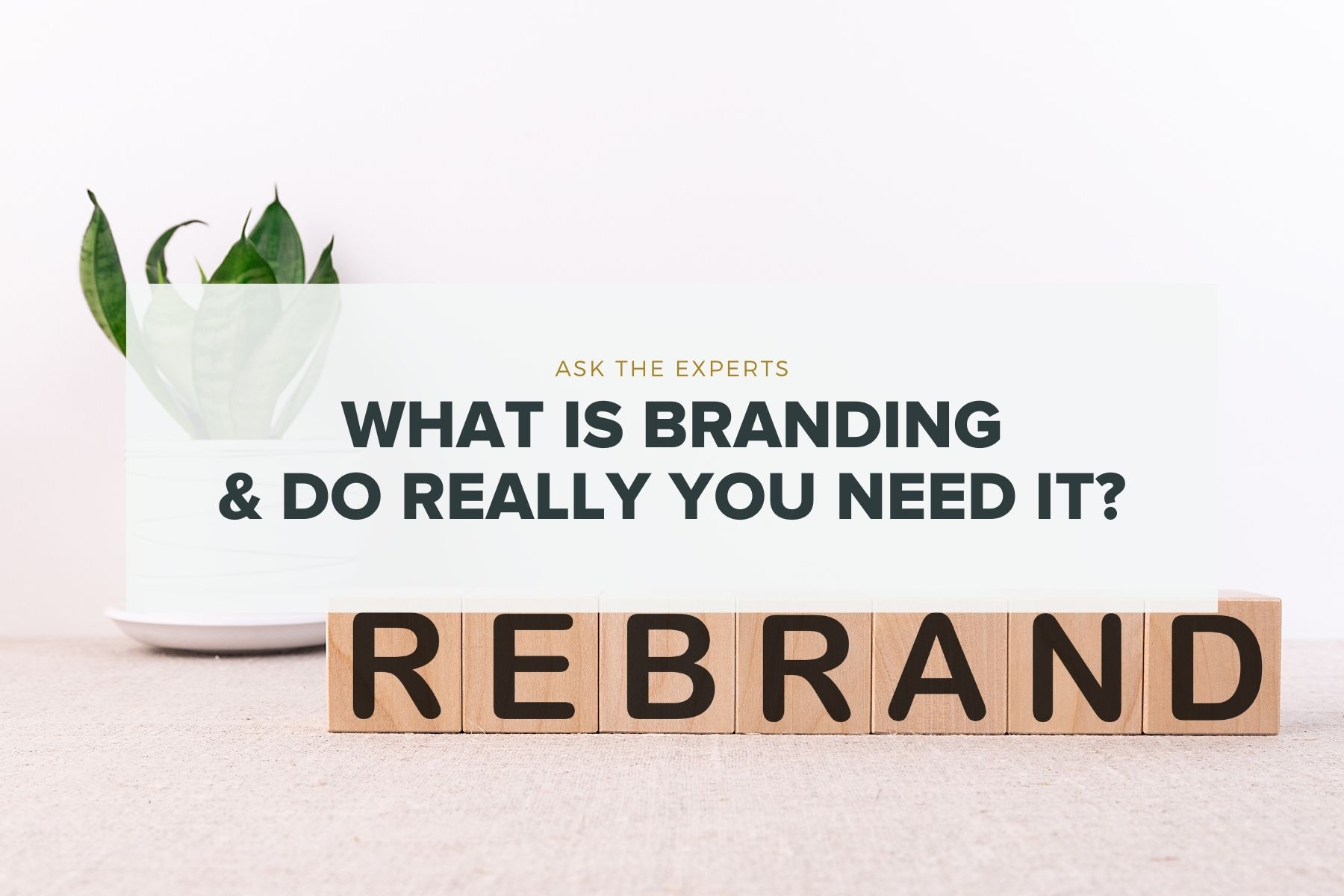 what is branding blog header image
