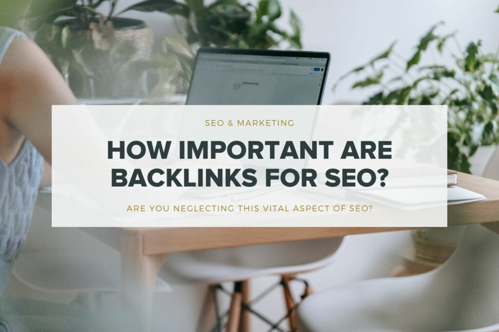 Building Backlinks for SEO Success for your photography business